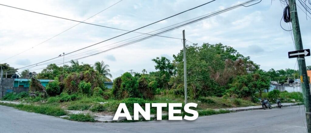 Chacón encabeza jornada Juntos Limpiamos Cozumel en la colonia Emiliano Zapata