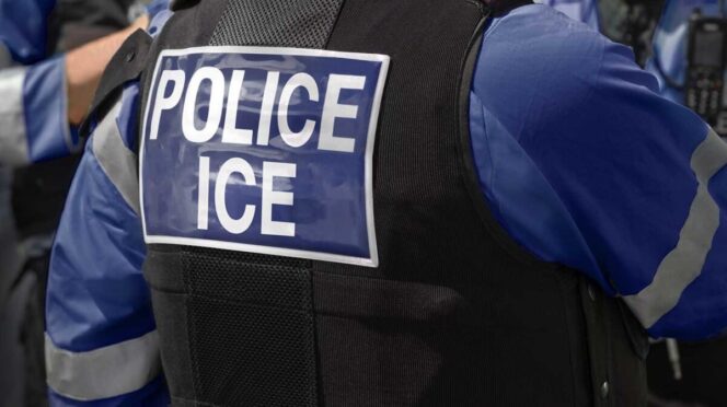 Gobierno de México alista nuevas medidas jurídicas por asesinatos de mexicanos en manos de ICE