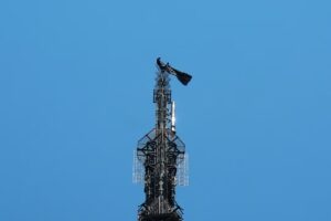 ¿Quiénes son los escaladores rusos arrestados en el Empire State?