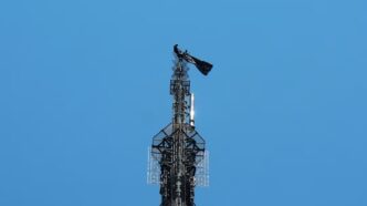 ¿Quiénes son los escaladores rusos arrestados en el Empire State?