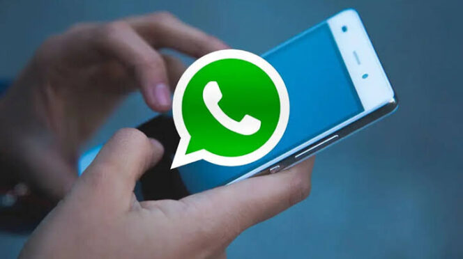 WhatsApp libera espacio con esta función