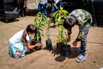 Más de 80 mil árboles se han plantado en Sinaloa mediante las jornadas de arborización que impulsa SEBIDES